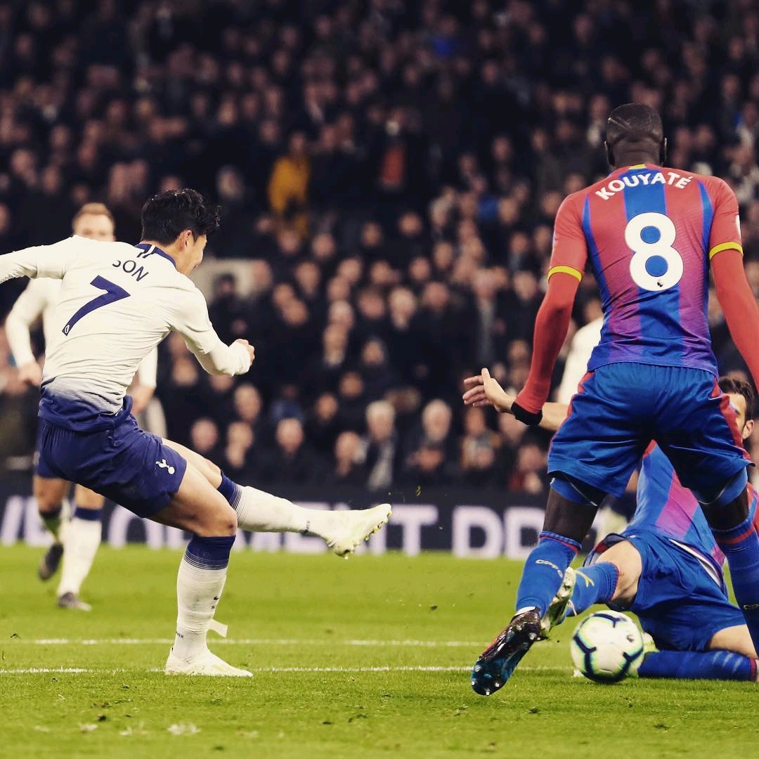 球迷的目光 球迷的目光